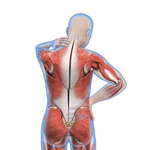 Muscle and Joint Pain